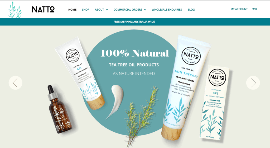 Example of good web design Natto