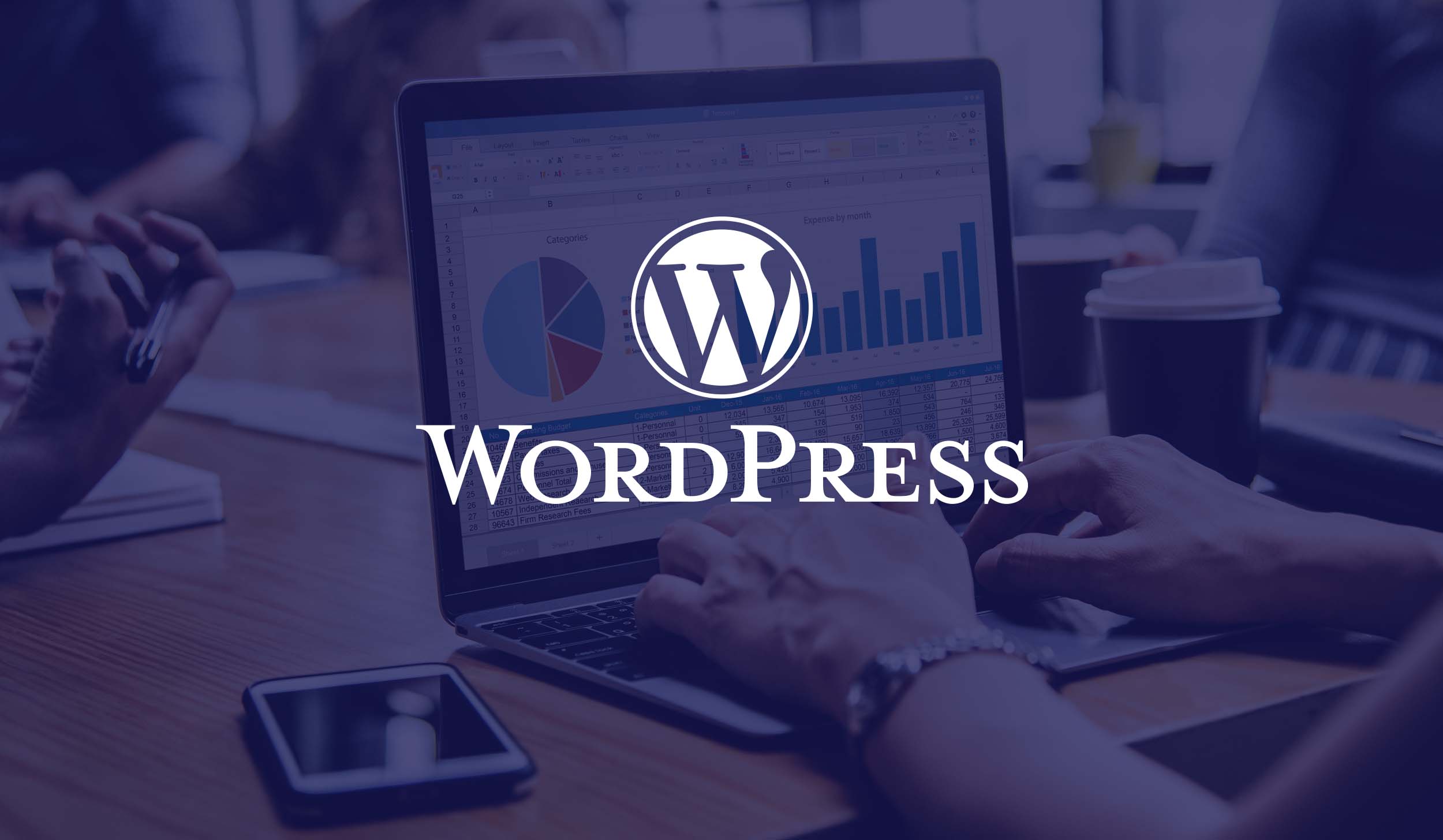 wordpress development