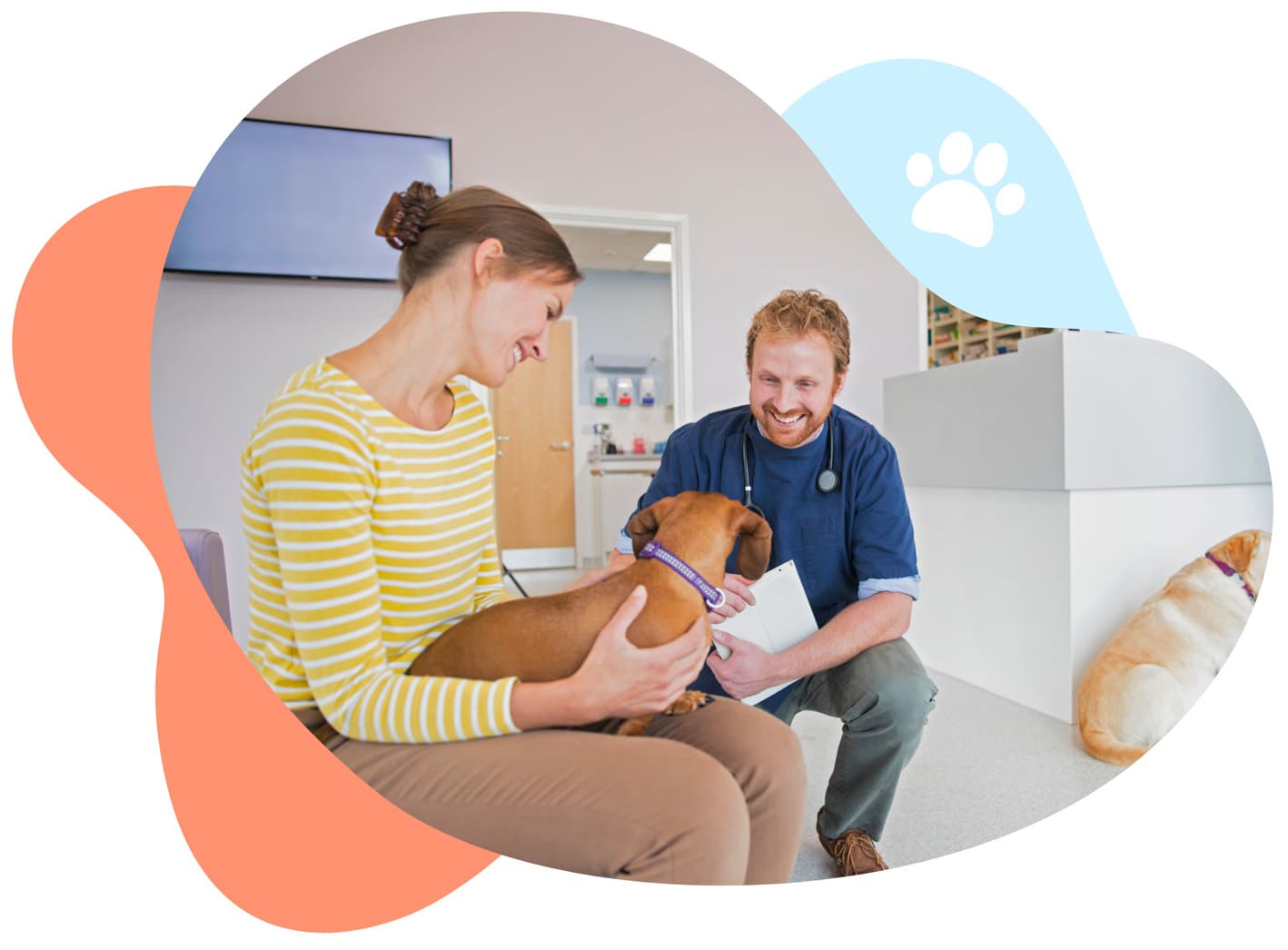 vet owner website