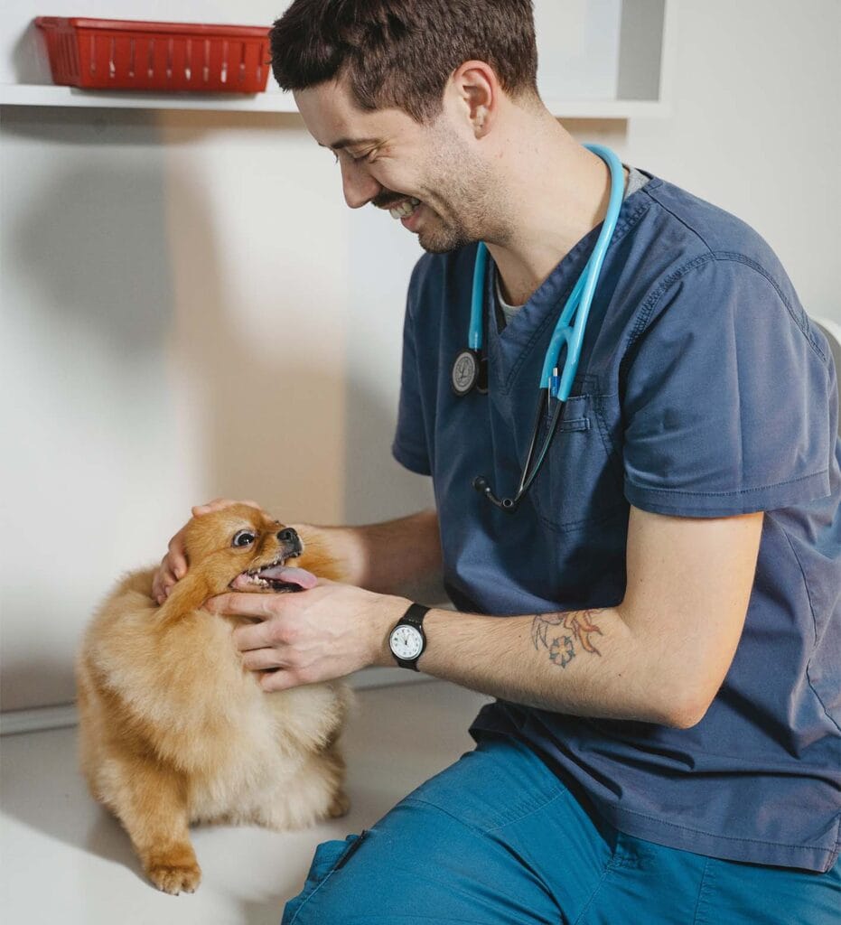 vet photo 01