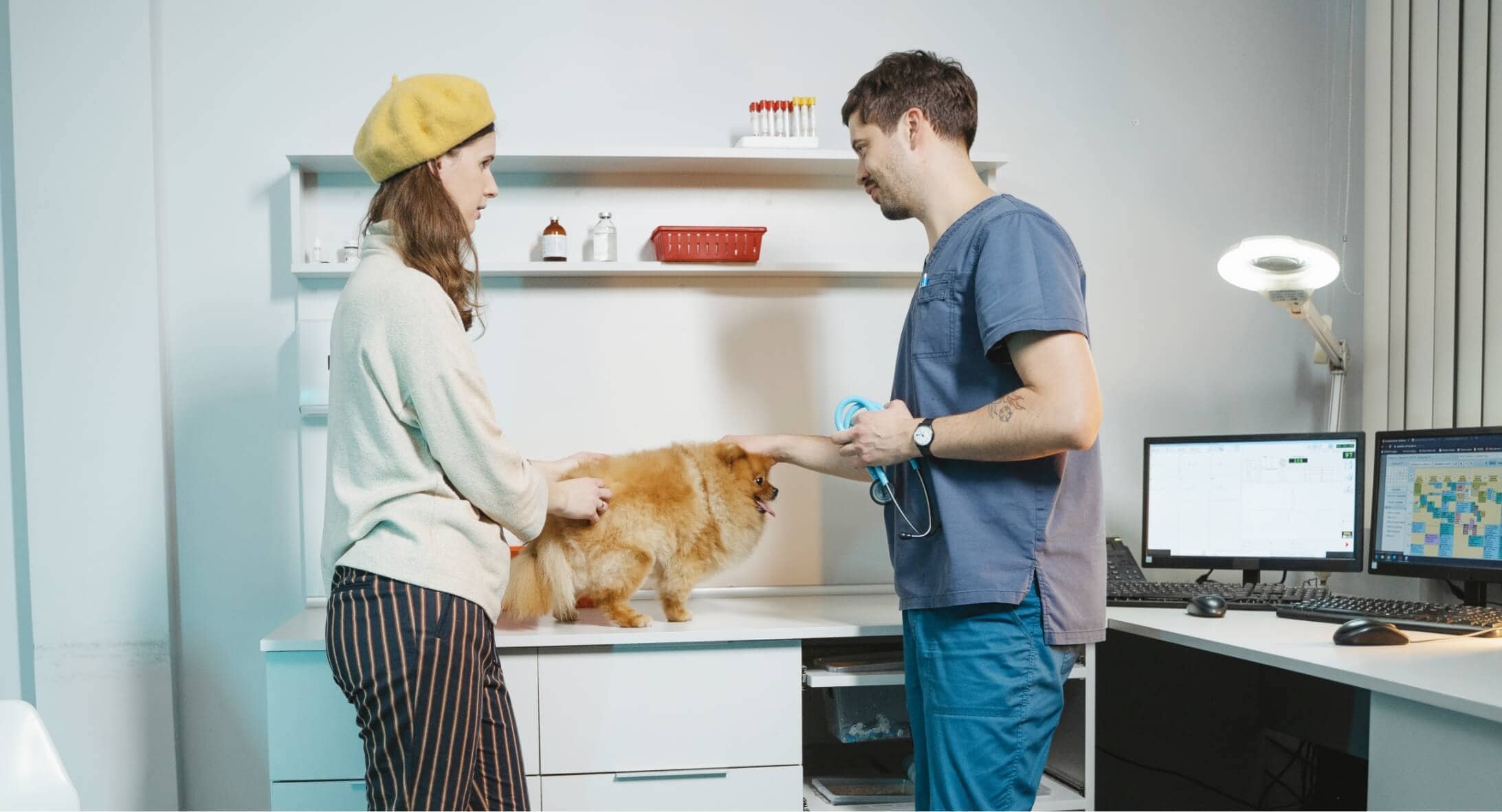 vet room consultation