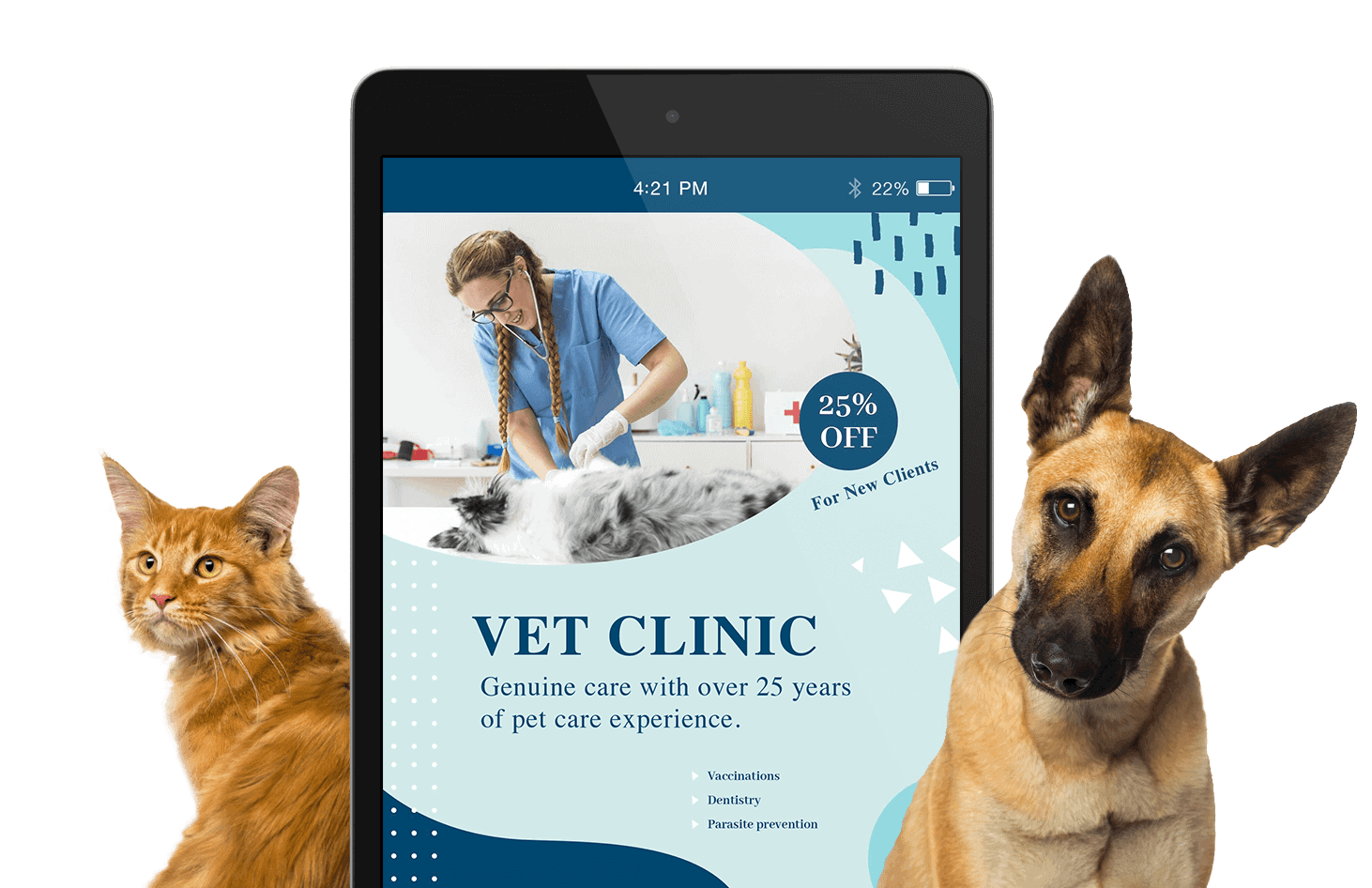 vet website deswign